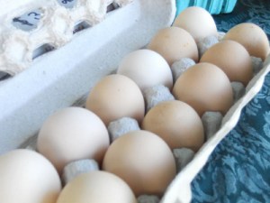 N0YyMDIwQzlDRDUwQjUzOTlGN0Q6YWZiODcyMmY2MDU5YWJjYzIyMmNjYjMwYmMwNTJiYjU=